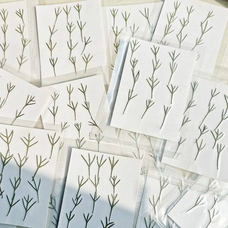 24 pezzi, Foglie di Achillea P - Dried Flower Bookmark recensione e prezzo